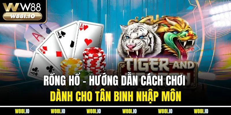 Rồng Hổ - Hướng Dẫn Cách Chơi Dành Cho Tân Binh Nhập Môn